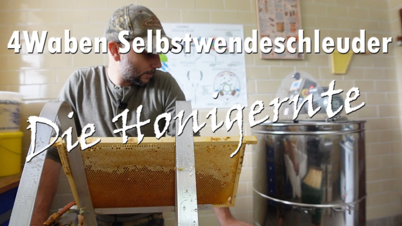 4 Waben Selbstwendeschleuder ! Die Honigernte !