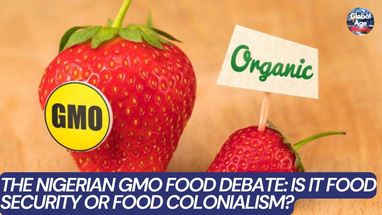 GMO Foods in Nigeria: Food Security Solution or Modern Food Colonialism?