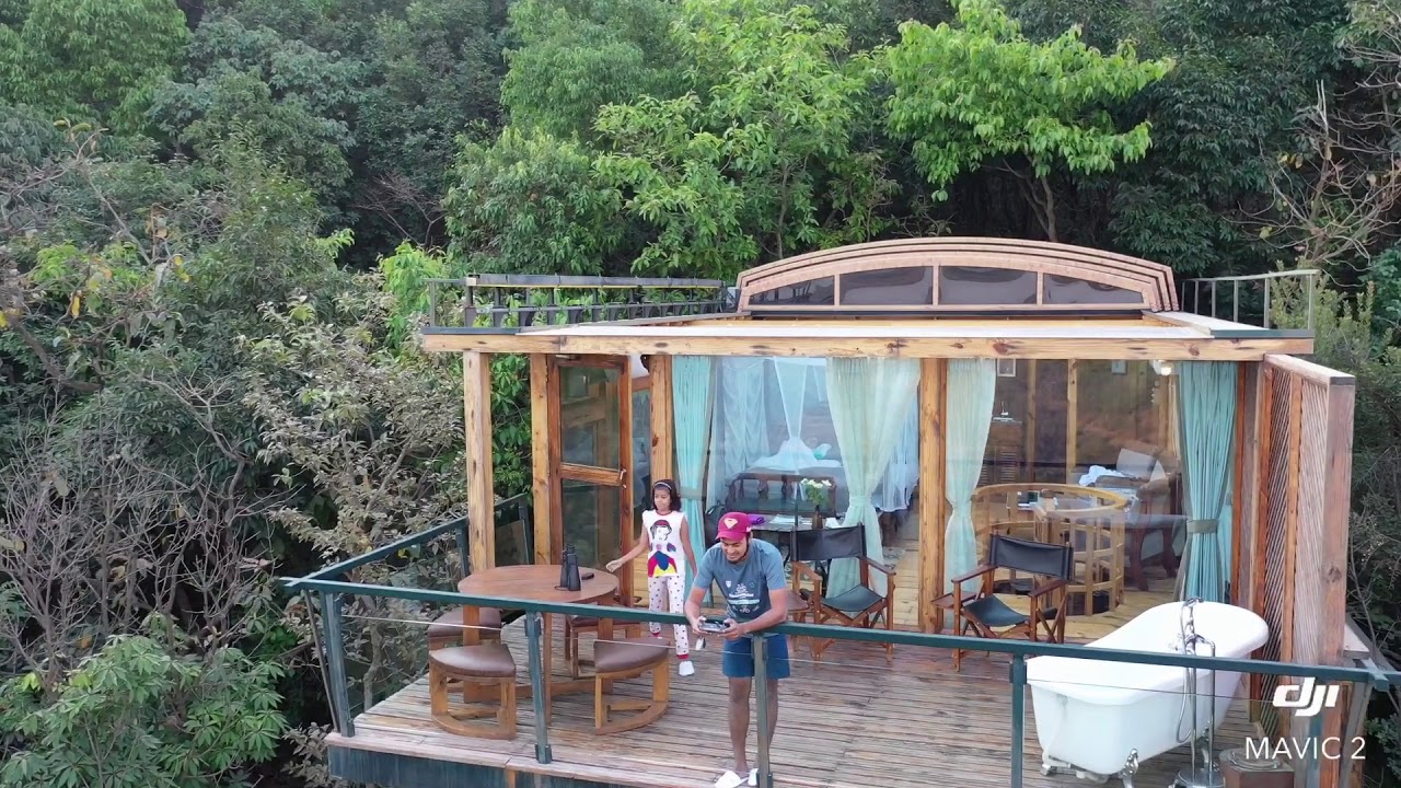 A Unique Tree House Room with Retractable Roof for Stargazing
