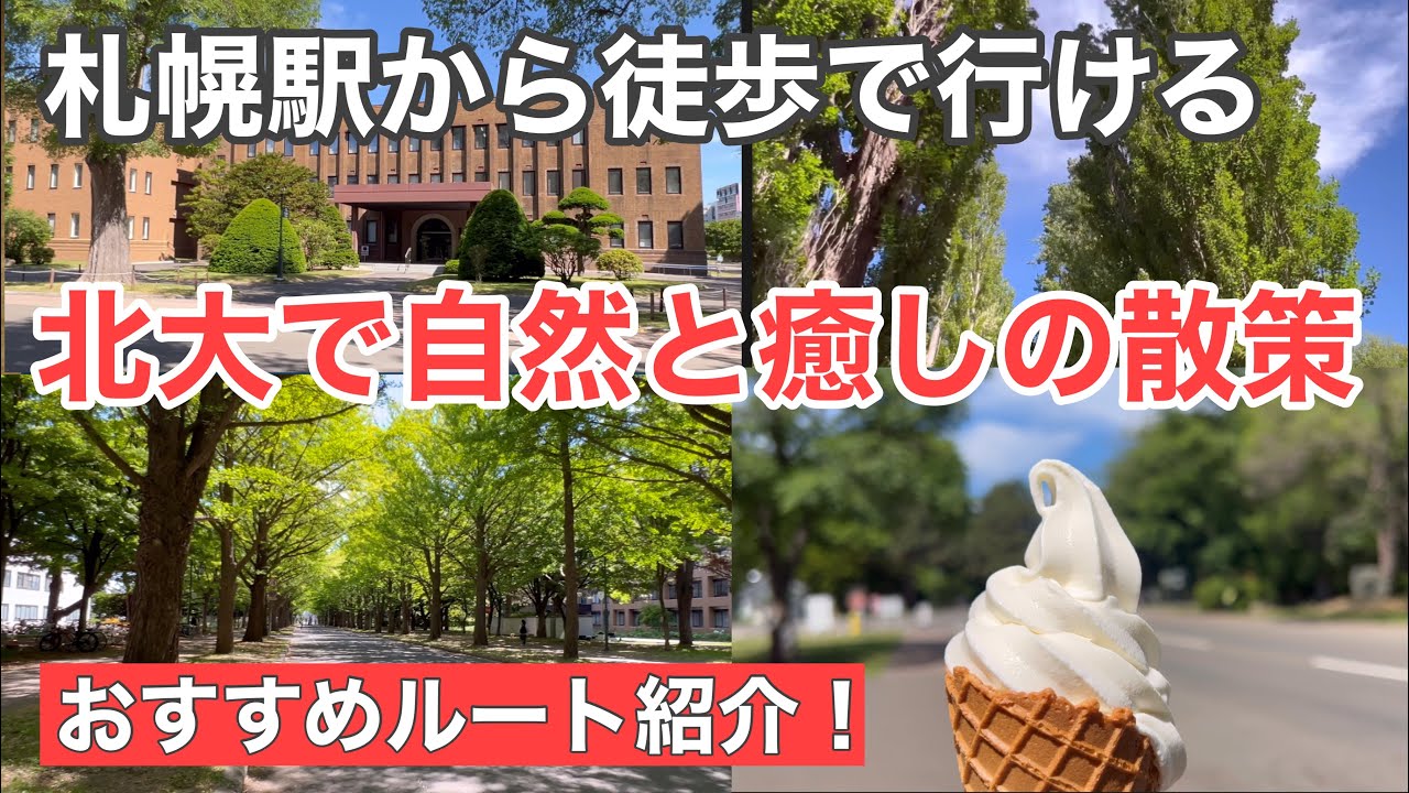 【札幌おすすめ観光】徒歩1時間で巡る北海道大学｜緑と静けさに癒される札幌駅からの散策ルート