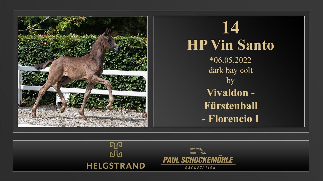 14 HP Vin Santo by Vivaldon - Fürstenball