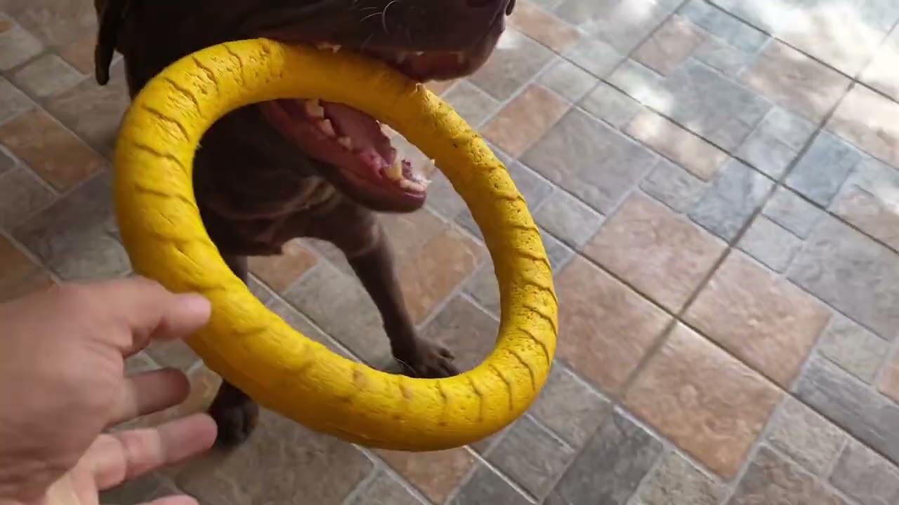 it’s play time