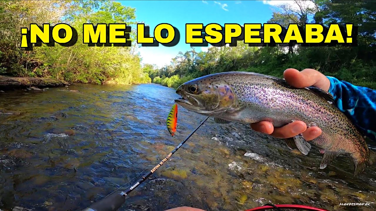 Pesca de trucha con spinning, mira lo que pasó 🤯 //Pesca en Chile - Flandesman av.