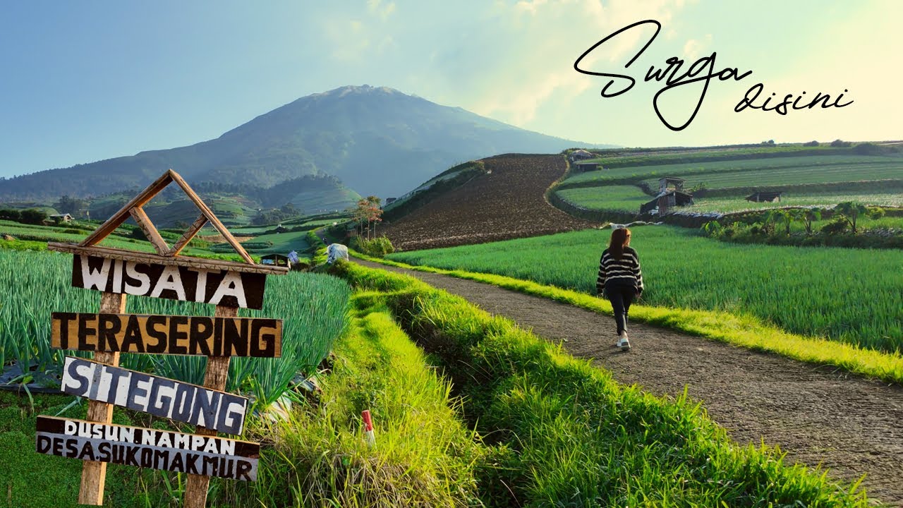 Wisata Terindah Pemandangan Surga di Bumi Pertiwi NEGERI SAYUR SUKOMAKMUR Kaliangrik Magelang 2024