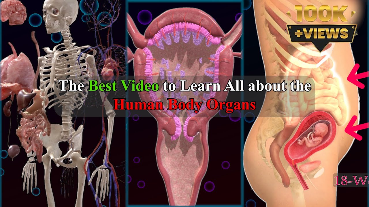 Секреты вашего тела раскрыты за 8 минут 🔍 [Это изменит вашу жизнь] 🌟