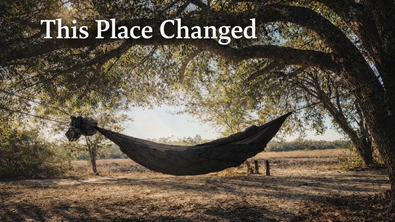 This Place Changed in One Year | Hammock Camping at Hopkins Prairie