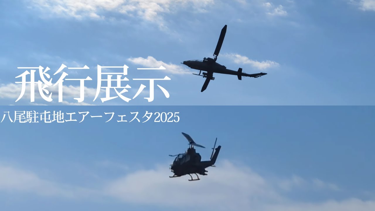 八尾駐屯地エアーフェスタ2025　飛行展示