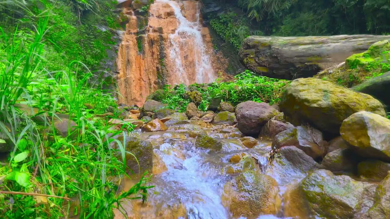 Healing Waterfall Sounds & Jungle Ambience - Deep Sleep, Stress Relief & Meditation [2 Hours,ASMR]  