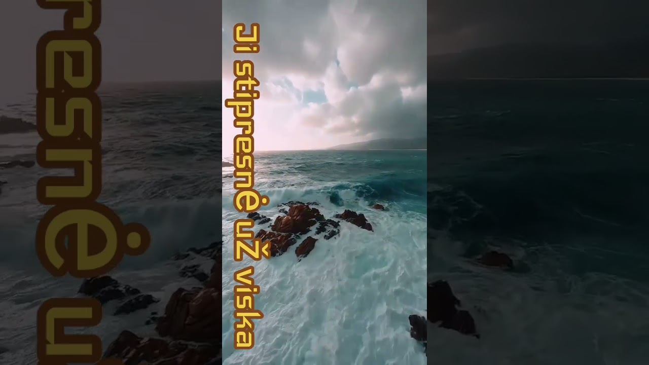 2026 m. vasario 28 d.