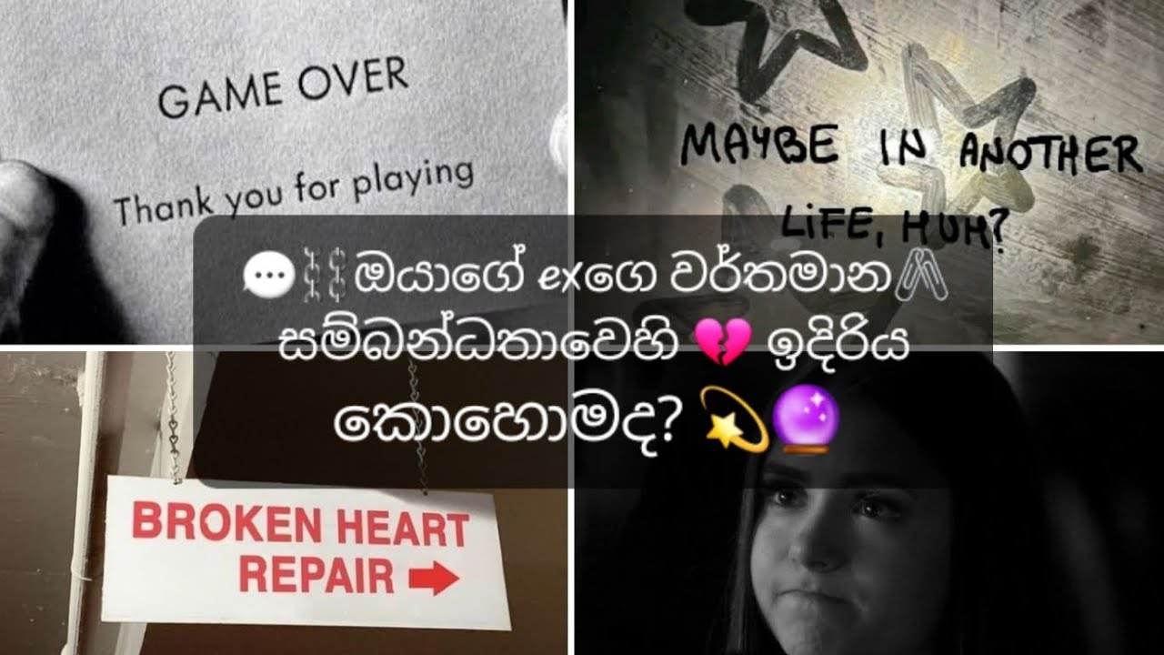 💬⛓️ඔයාගේ exගෙ වර්තමාන🖇සම්බන්ධතාවෙහි💔ඉදිරිය කොහොමද?💫🔮|collective reading sinhala | timeless reading 💌