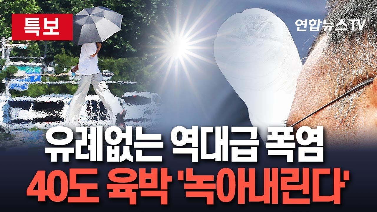 [🔴특보] 