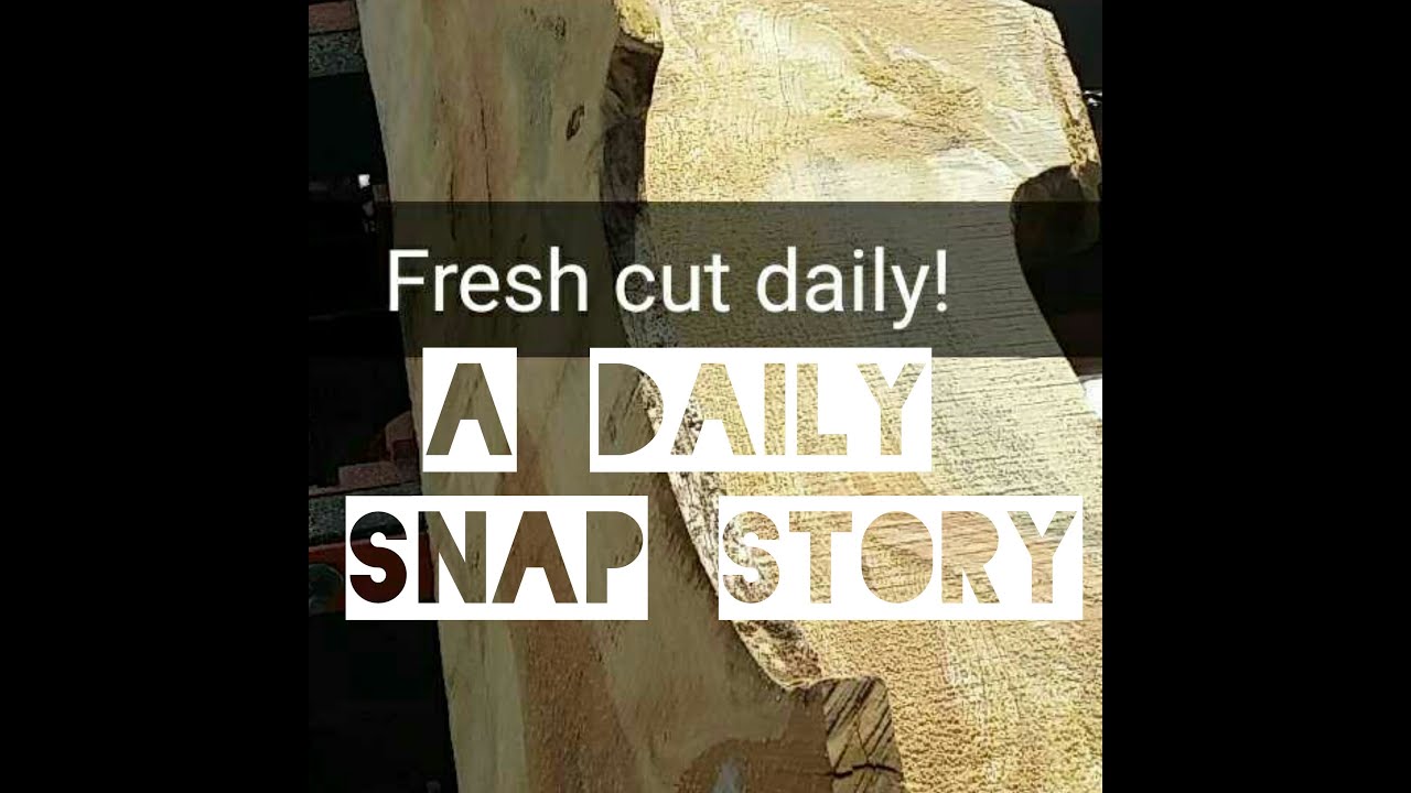 Fresh Cut Daily - A Daily Snap Story
