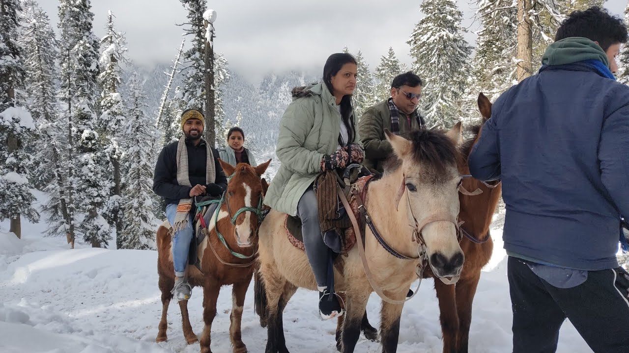 Baisaran Valley PAHALGAM || Mini Switzerland || Most beautiful place in KASHMIR