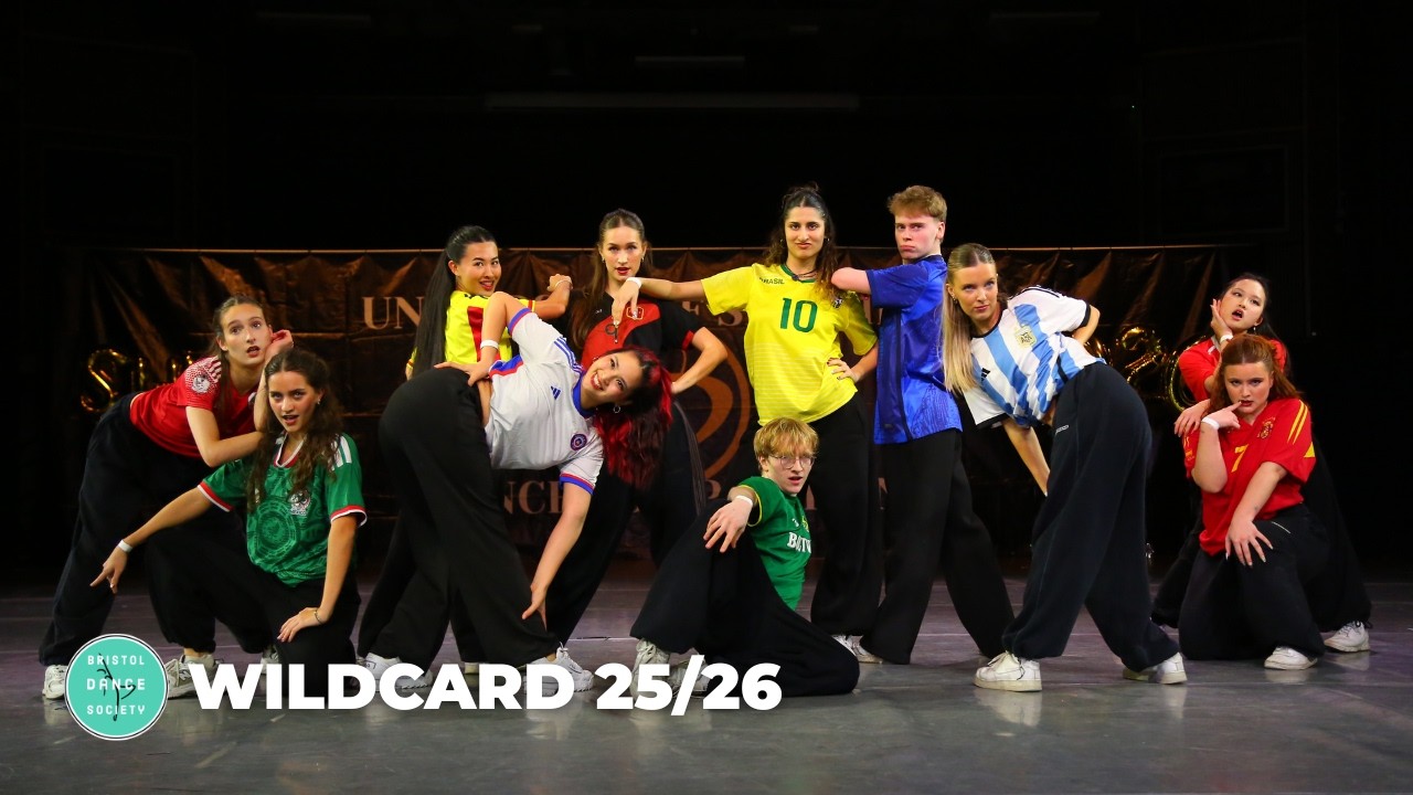 University of Bristol's Wildcard 