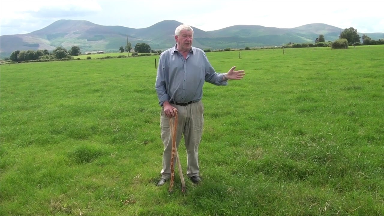 Faction in Ardfinnan