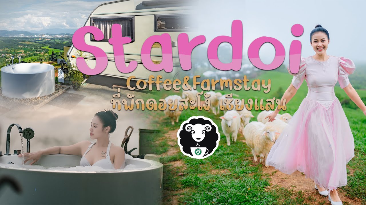 สตาร์ดอยคอฟฟี่ | ฟาร์มแกะเปิดใหม่ที่เชียงแสน จ.เชียงราย | ที่พักดอยสะโง้