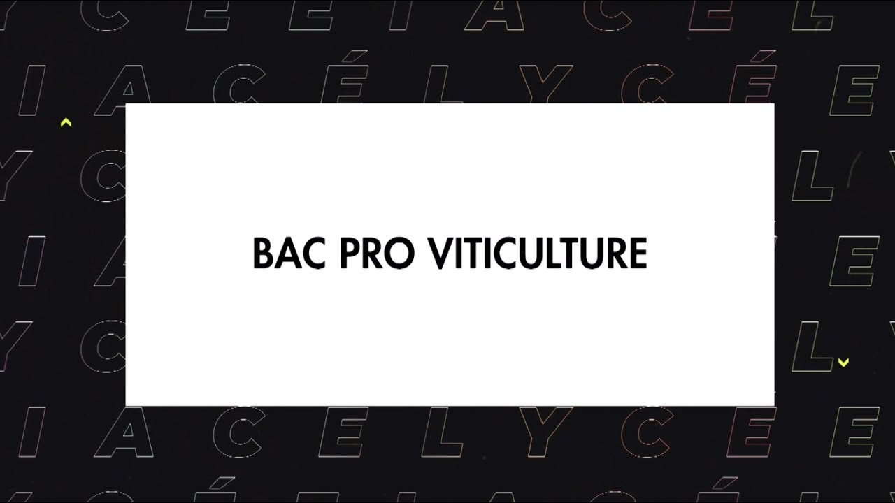 Bac Pro CGEVV (Conduite et Gestion de l’Entreprise Viti-Vinicole)
