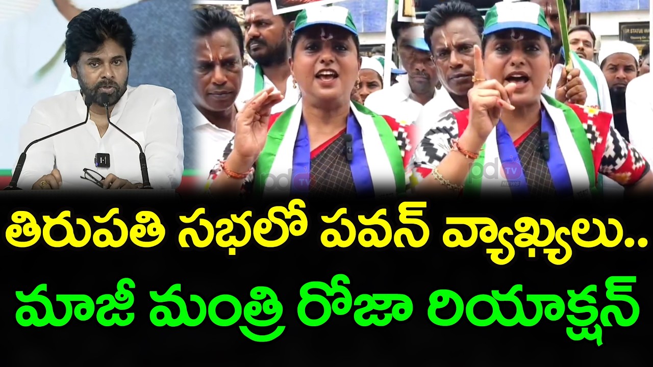 Roja React On Pawan Kalyan Comments : PDTV News