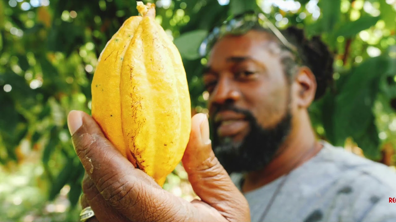Real Tours Jamaica