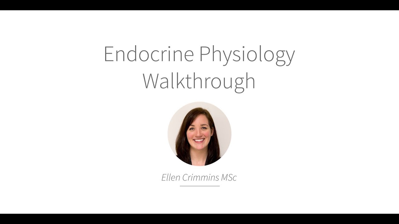 Lt Human Physiology | Endocrine Physiology Lab Walkthrough