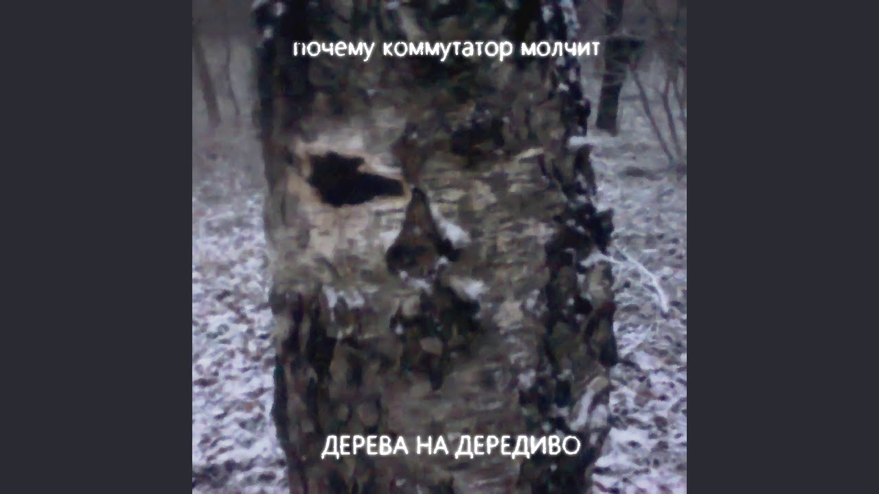 Бегите берёзы