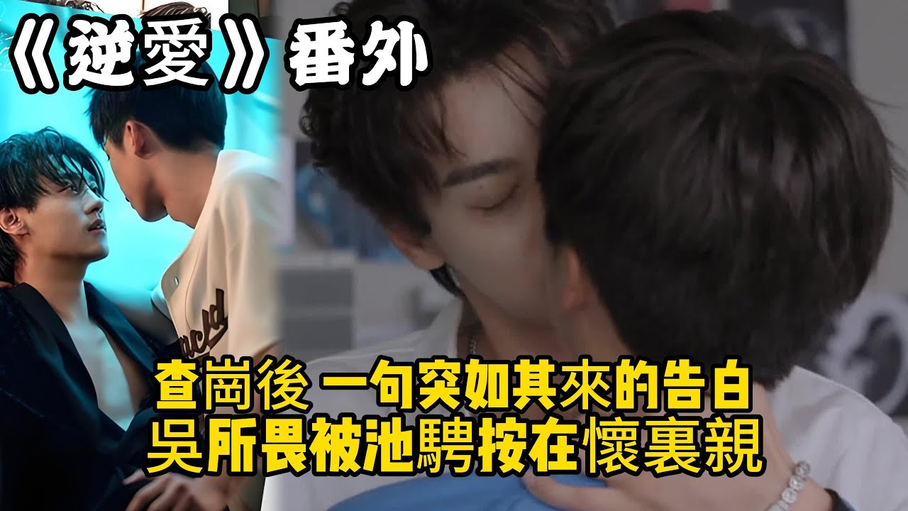 《逆愛》：番外！查崗後，一句突如其來的告白，吳所畏被池騁按在懷裏親。#田栩宁 #梓渝 #吴所畏 #池骋 #逆爱 #revenged