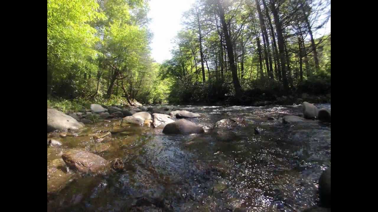 Black Mountain Campground - Stream Timelapse
