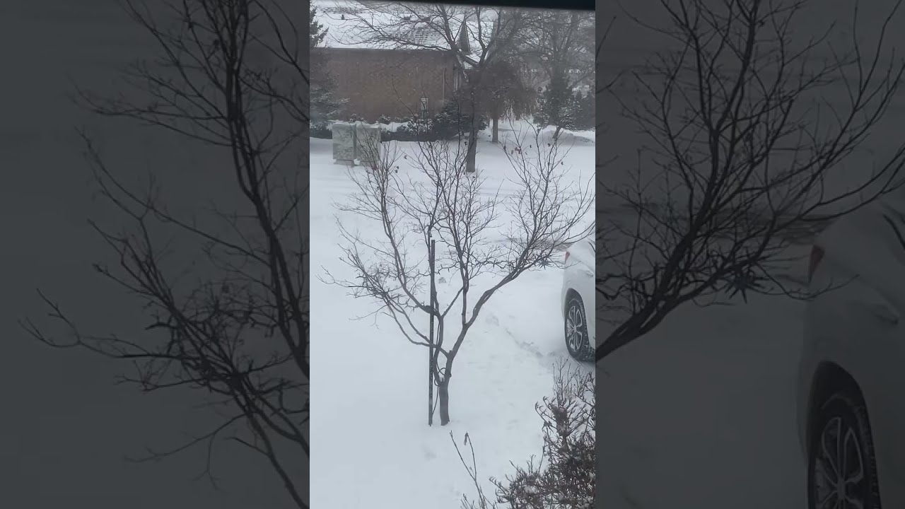 Big storm snowfall