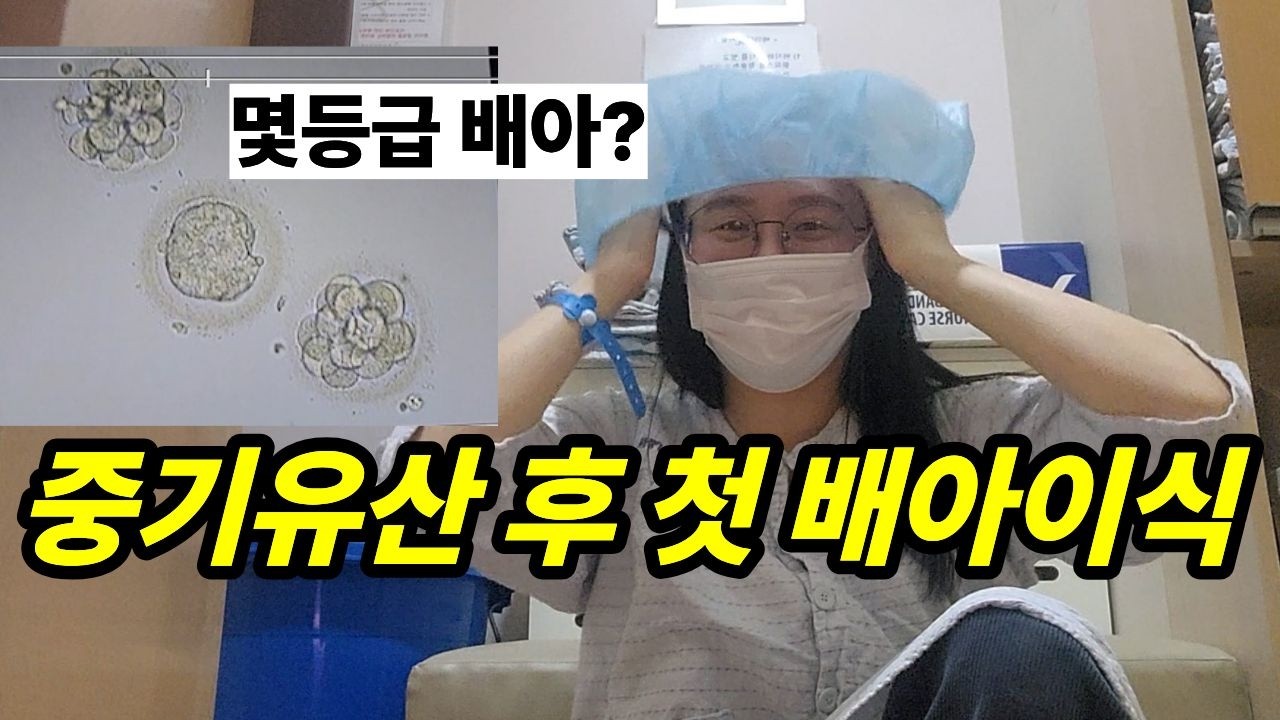 중기유산후 첫 배아이식ㅣ시험관11차 3일배아 이식ㅣ배아이식후 증상 브이로그