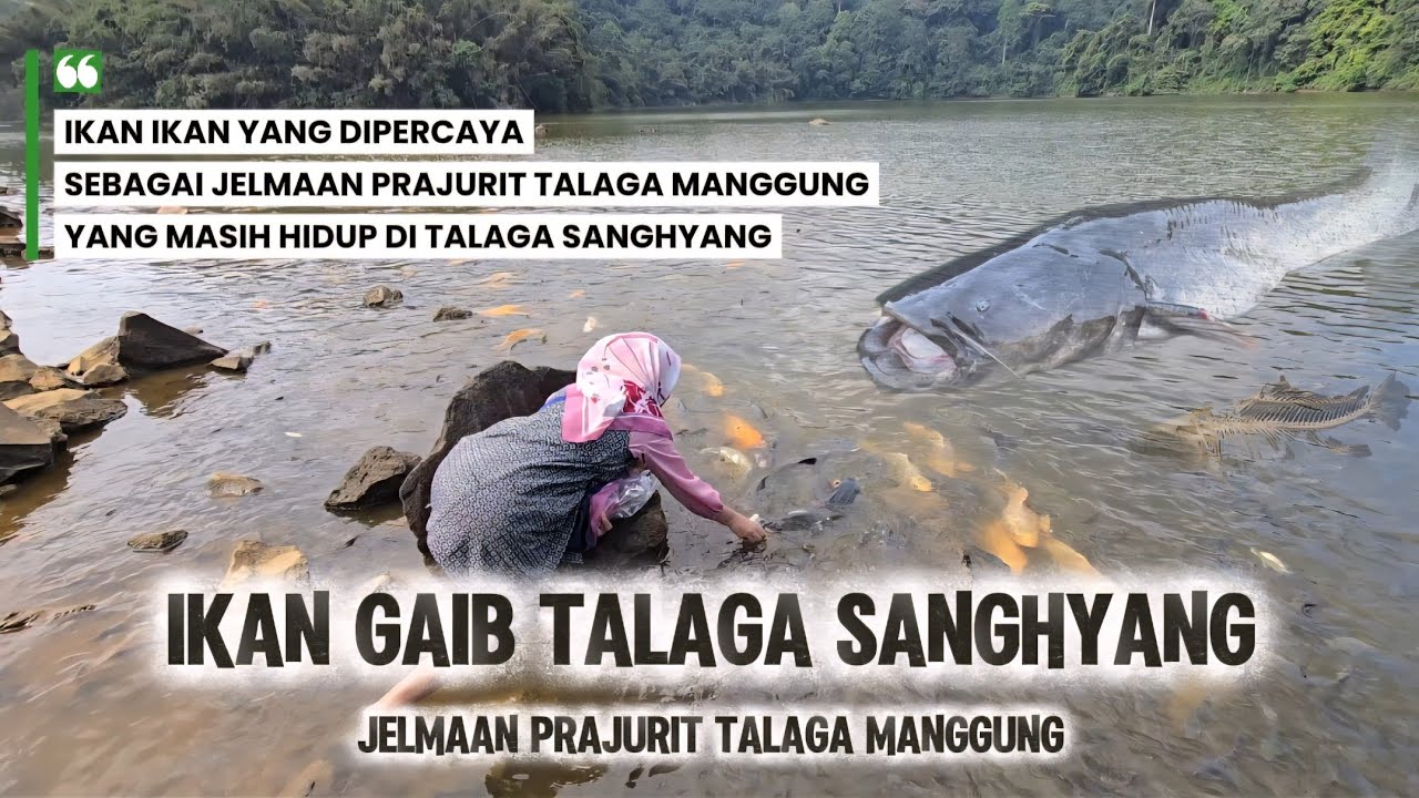 JELMAAN PRAJURIT TALAGA SANGHYANG.! Tradisi Situ Sanghyang Jika Ikan Mati Dikuburkan Seperti Manusia