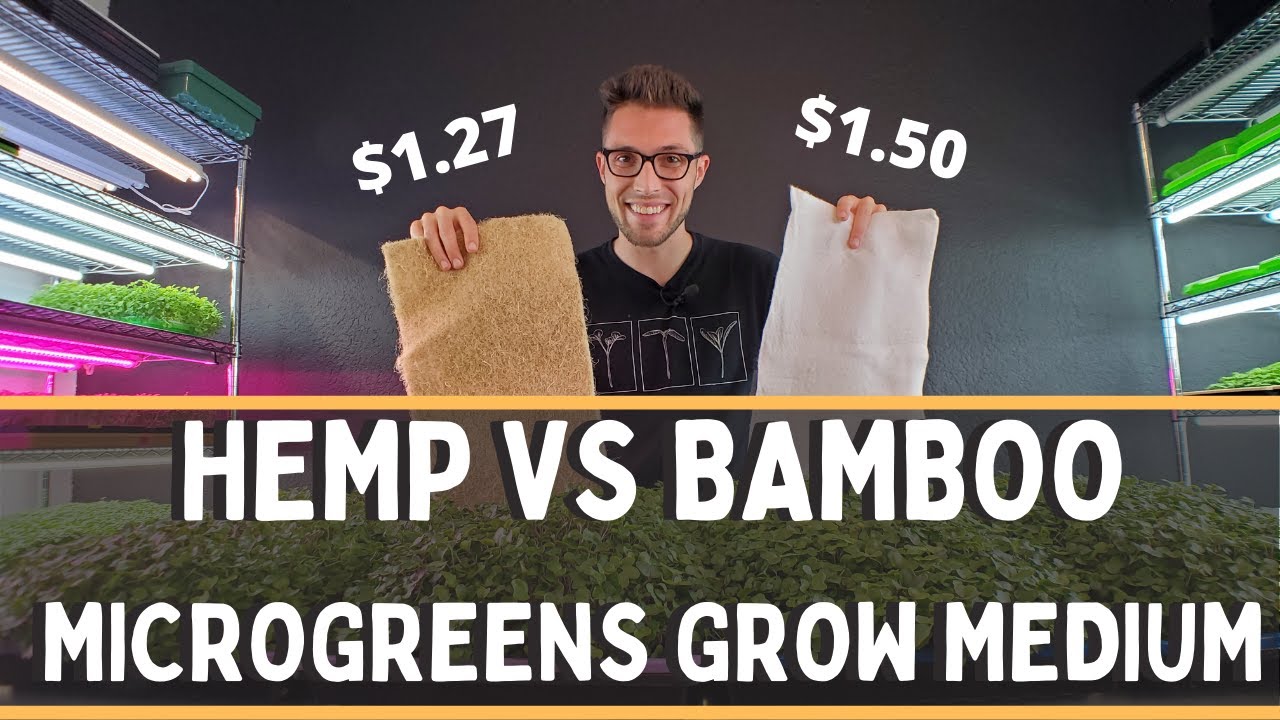 BAMBOO vs HEMP Microgreen Mats!? Sustainable Hydroponic Microgreen Mediums!!