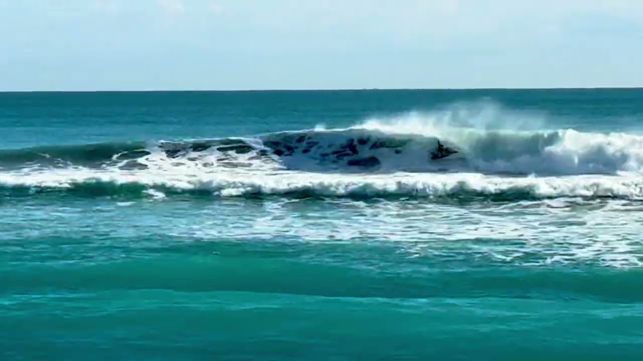 2/10/26 Coral Cove