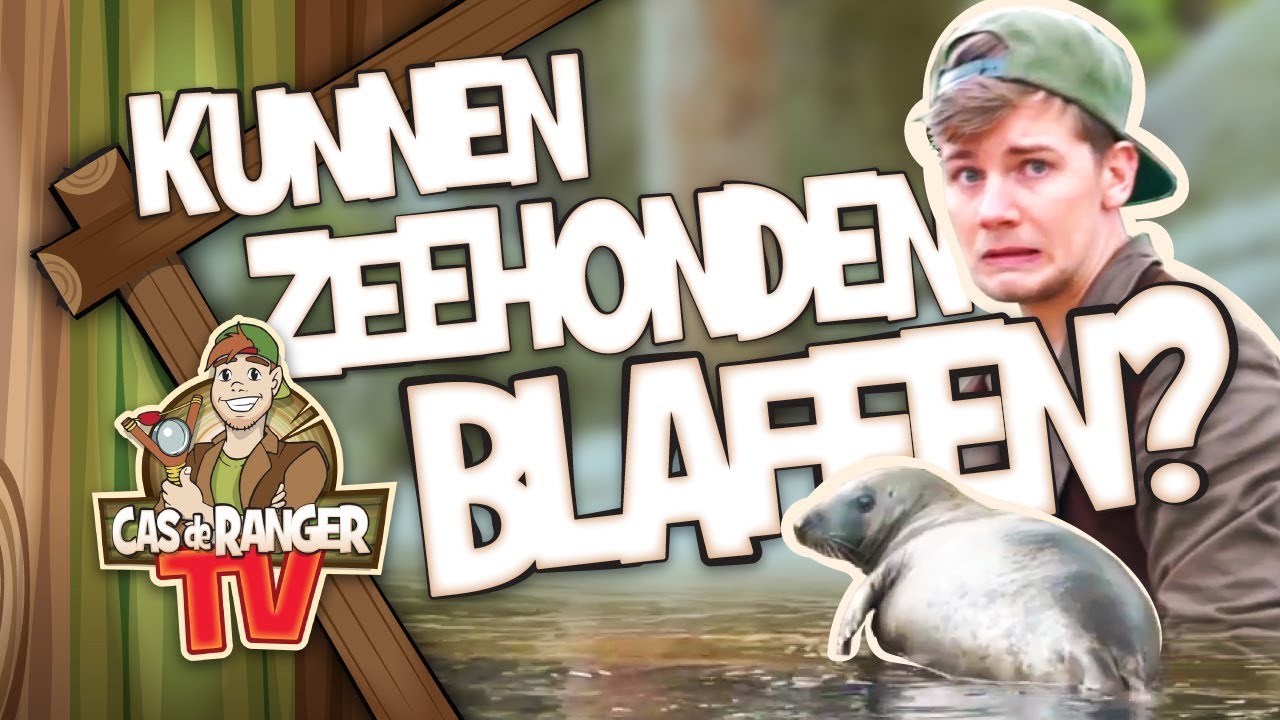 KUNNEN ZEEHONDEN BLAFFEN? Cas de Ranger TV #09 - Julianatoren