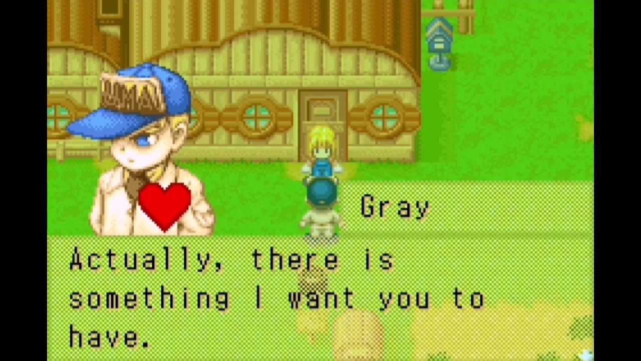 Harvest Moon Friends in Mineral Town Gray All Heart Events