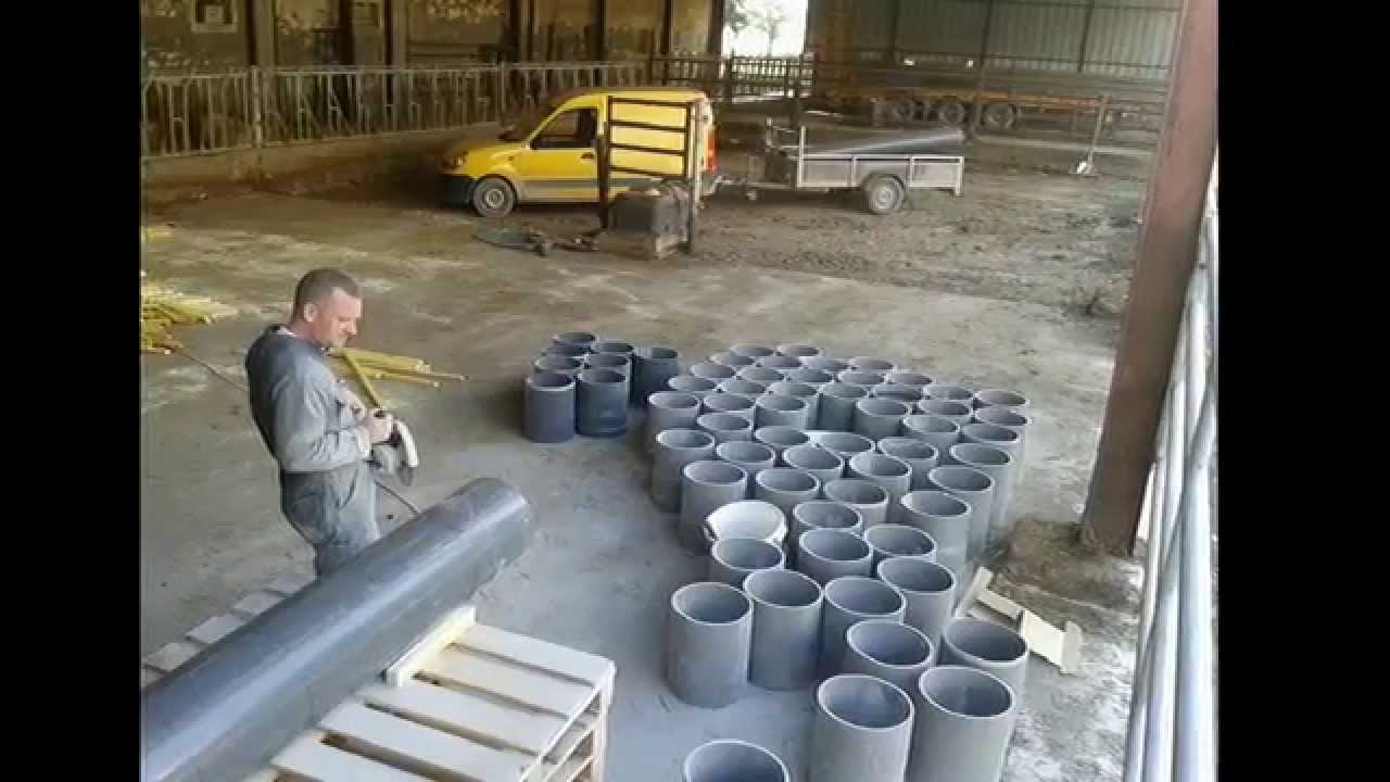 Production oignons semence