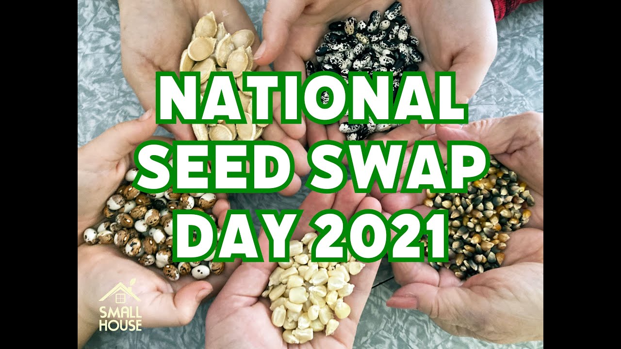 National SEED SWAP Day 2021! #seedswapday