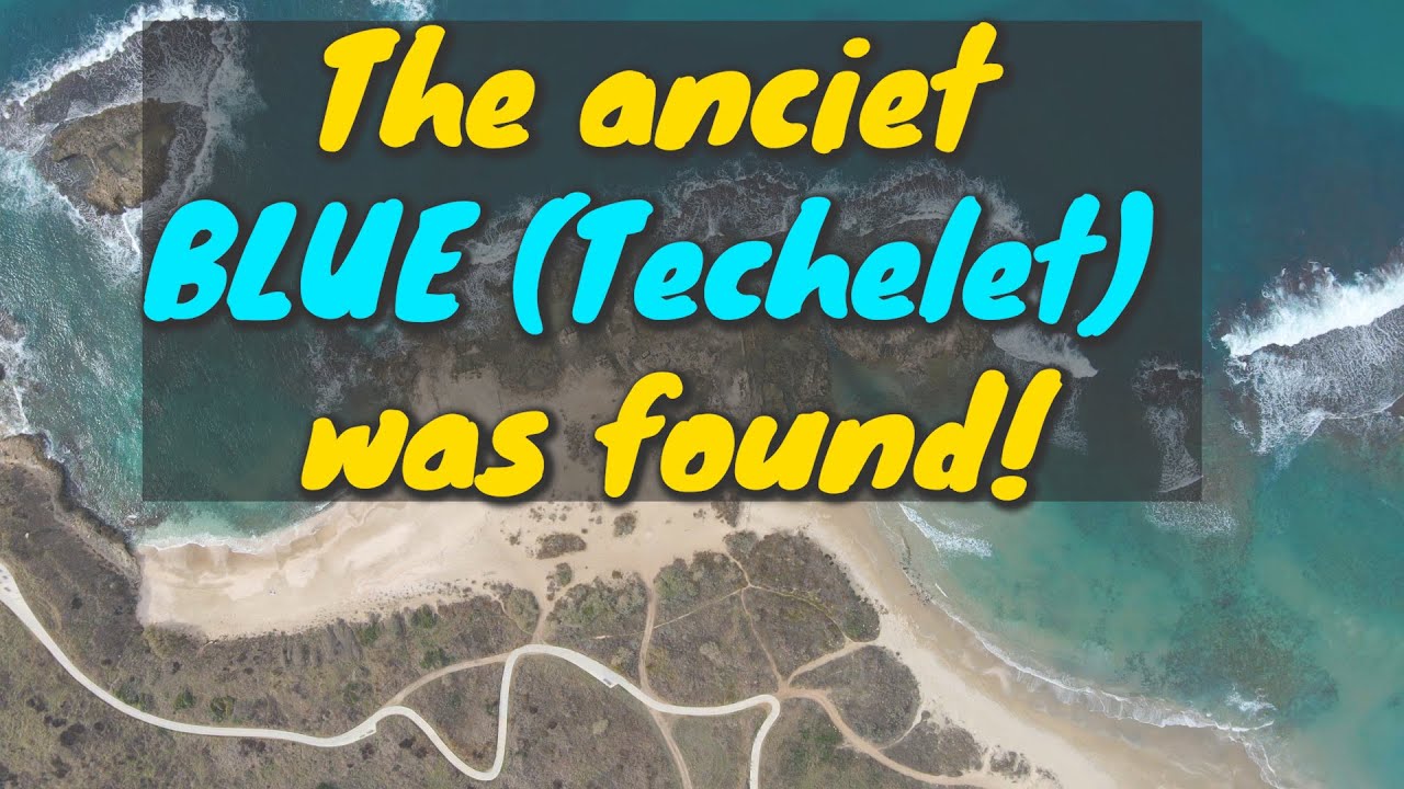 The Ancient Blue (Techelet)- at Dor Beach | Israel with Yoni