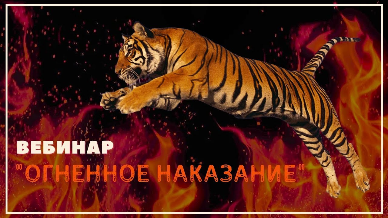 Вебинар 
