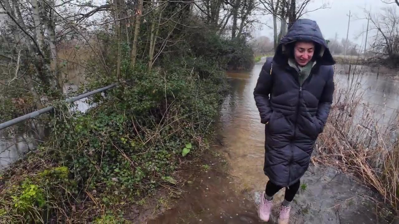 Flood water Throop Mill & River stour at muscliffe lane,11/02/2026