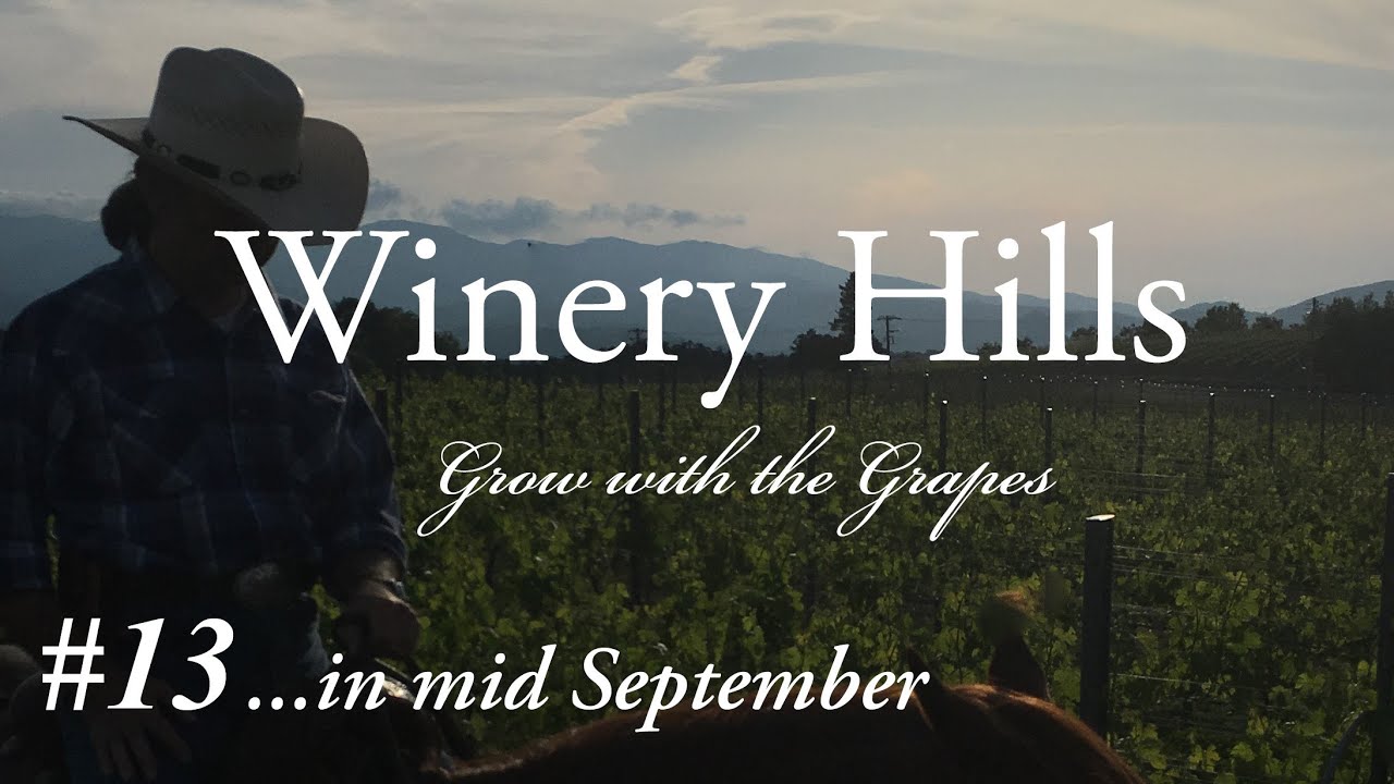 【Introduction of WINERY HILLS】ワイナリーぶどう畑 #13『特別編集版』