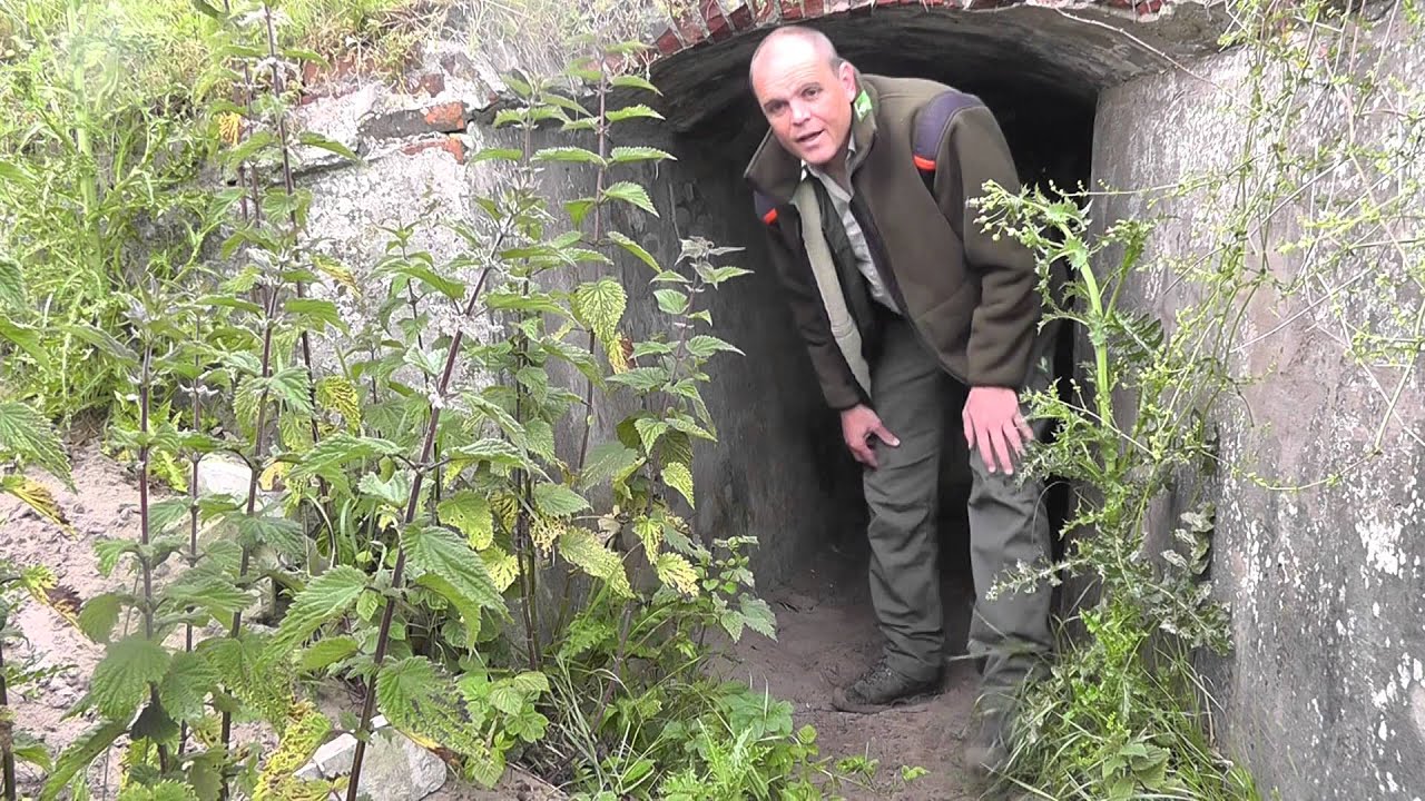 Volg de Boswachter - De Vleermuisbunker Wassenaar het beschermen waard