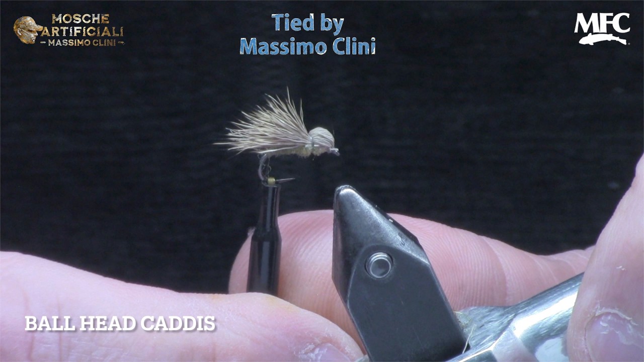 Costruzione Ball Head Caddis | La Sedge con la Testa che Cambia Tutto