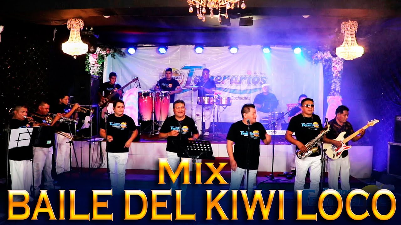 MIX EL BAILE DEL KIWI LOCO - SOMOS TEMERARIOS DE HRI ( Video Oficia 2024 l)