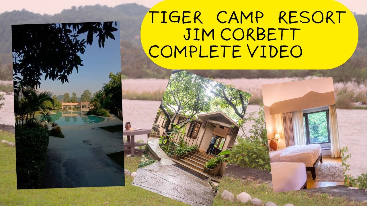 TIGER CAMP RESORT JIM CORBETT COMPLETE VIDEO | RESORTS IN JIM CORBETT | CORBETT | RIVERSIDE RESORTS