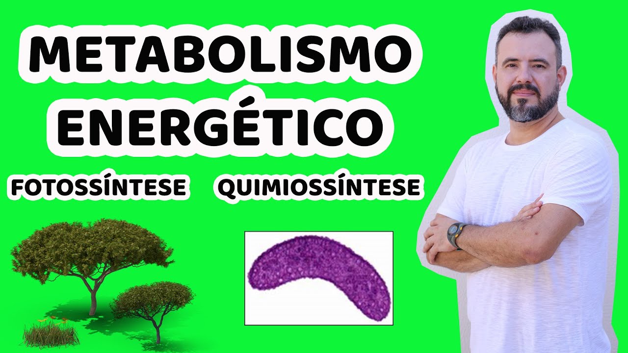 Metabolismo Energético - Fotossíntese e Quimiossíntese