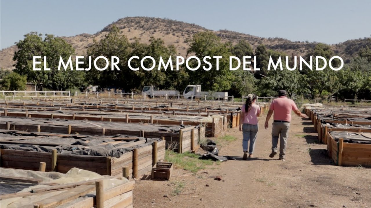 Así se hace el mejor #Compost! Les Presento a Don Manuel! El rey de la #Lombriagricultura! 💚