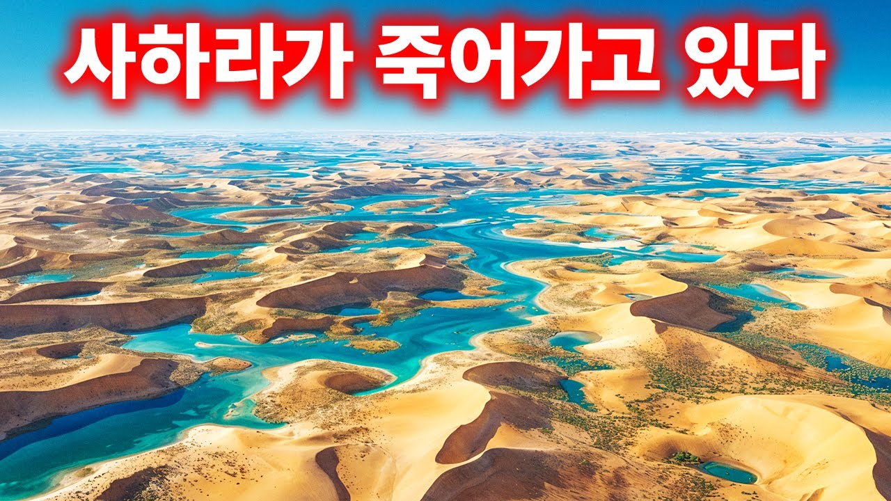 사하라에서 이상한 일이 일어나고 있습니다 - 그리고 그것은 좋은 일이 아닙니다