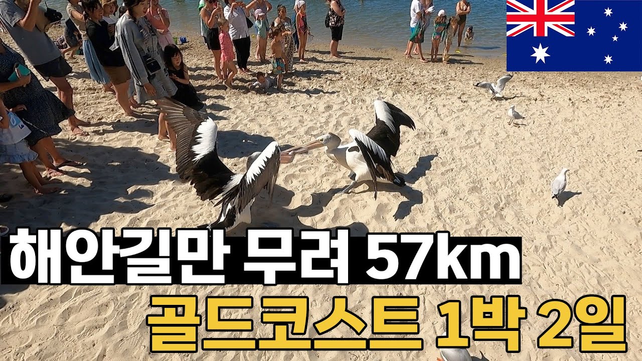 스케일 남다른 호주 최고의 휴양지 골드코스트, 1박 2일 액티비티와 투어 - 세계여행 [45]