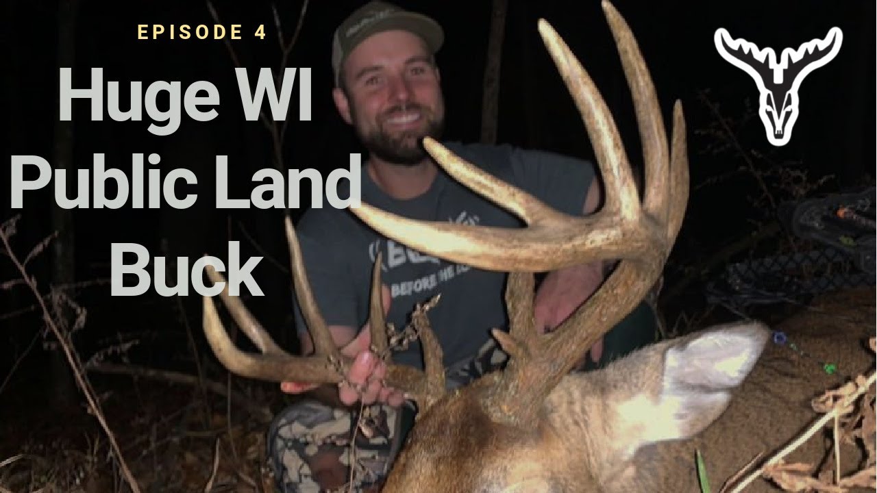 HUGE Wisconsin Public Land Bow Buck!