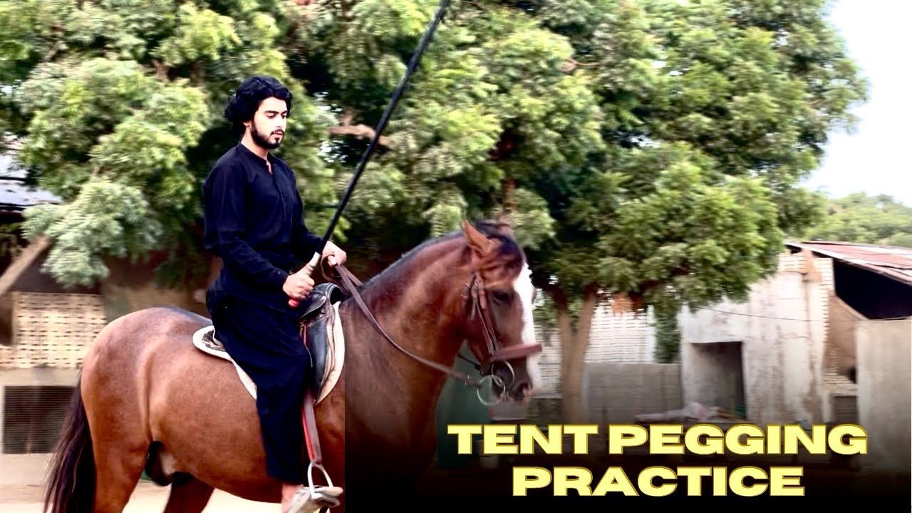 Tips of Tent Pegging || Beautiful view of Horse Riding || Practice of Tent Pegging 🤩